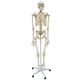 esqueleto-168-cm-com-coluna-flexivel-com-suporte-e-base-com-rodas-TGD-0101-B--4-